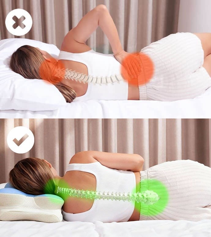 通常の枕 vs Melara Max Pillow 背骨の比較